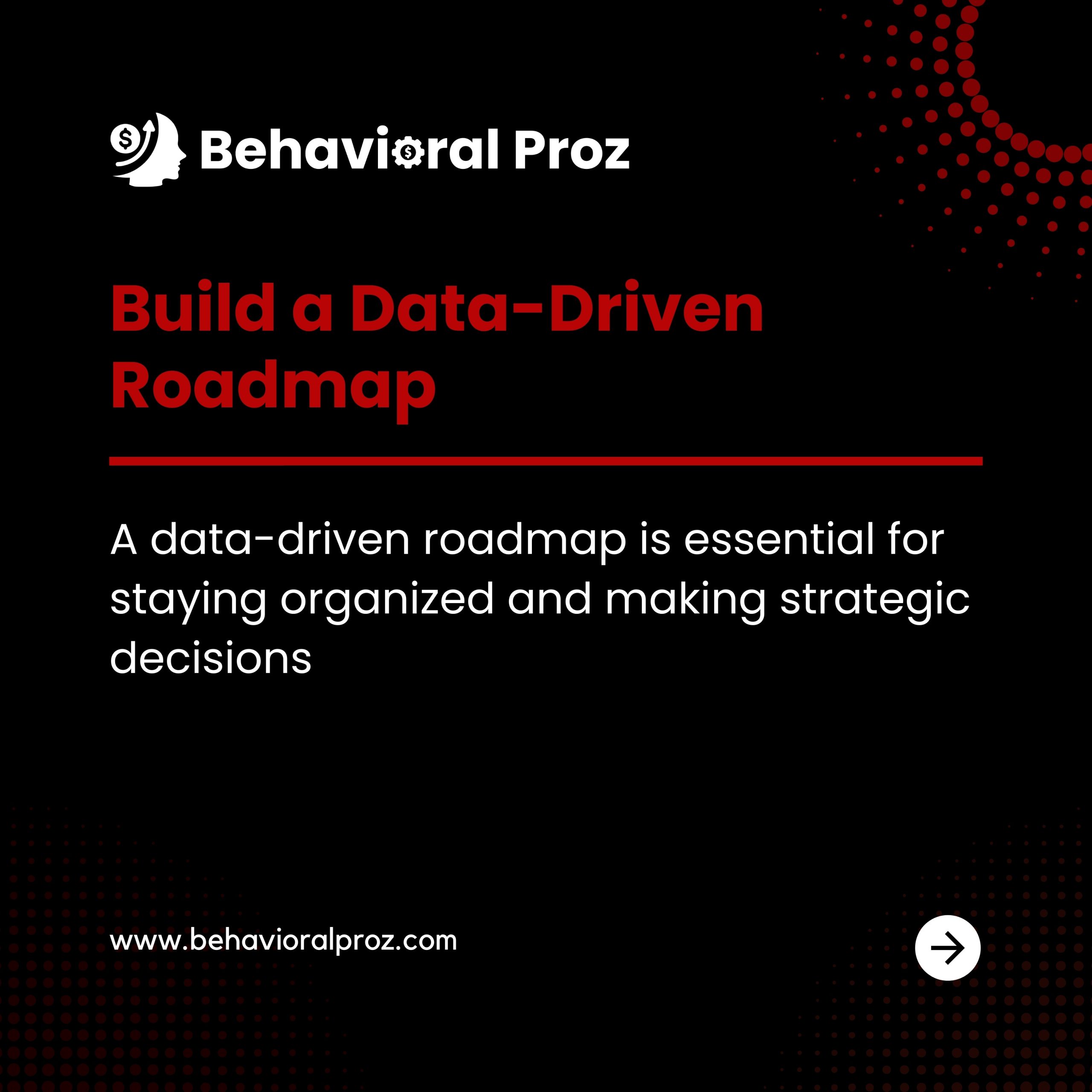 startup roadmap